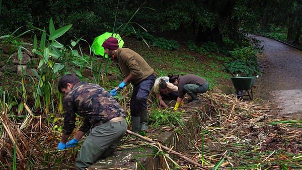 L’importanza dell’azione nella conservazione: l'esempio del Progetto ARCARoma all’Orto Botanico di Roma