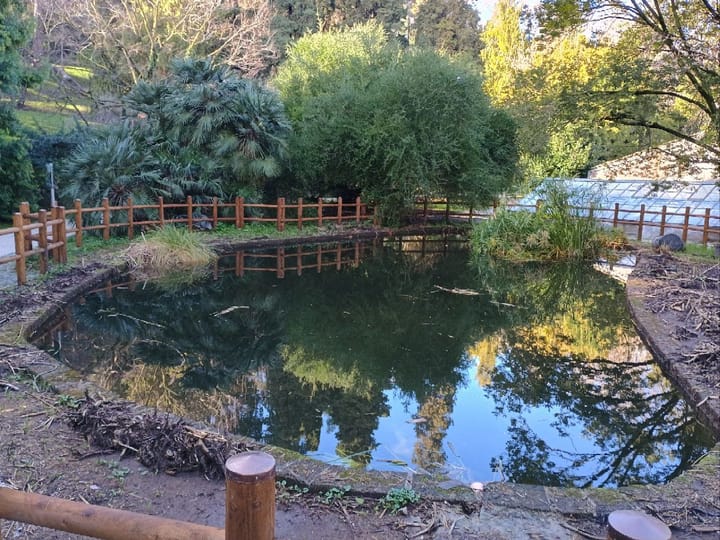 Il silenzio è d’oro (ma il lavoro sul campo lo è di più)